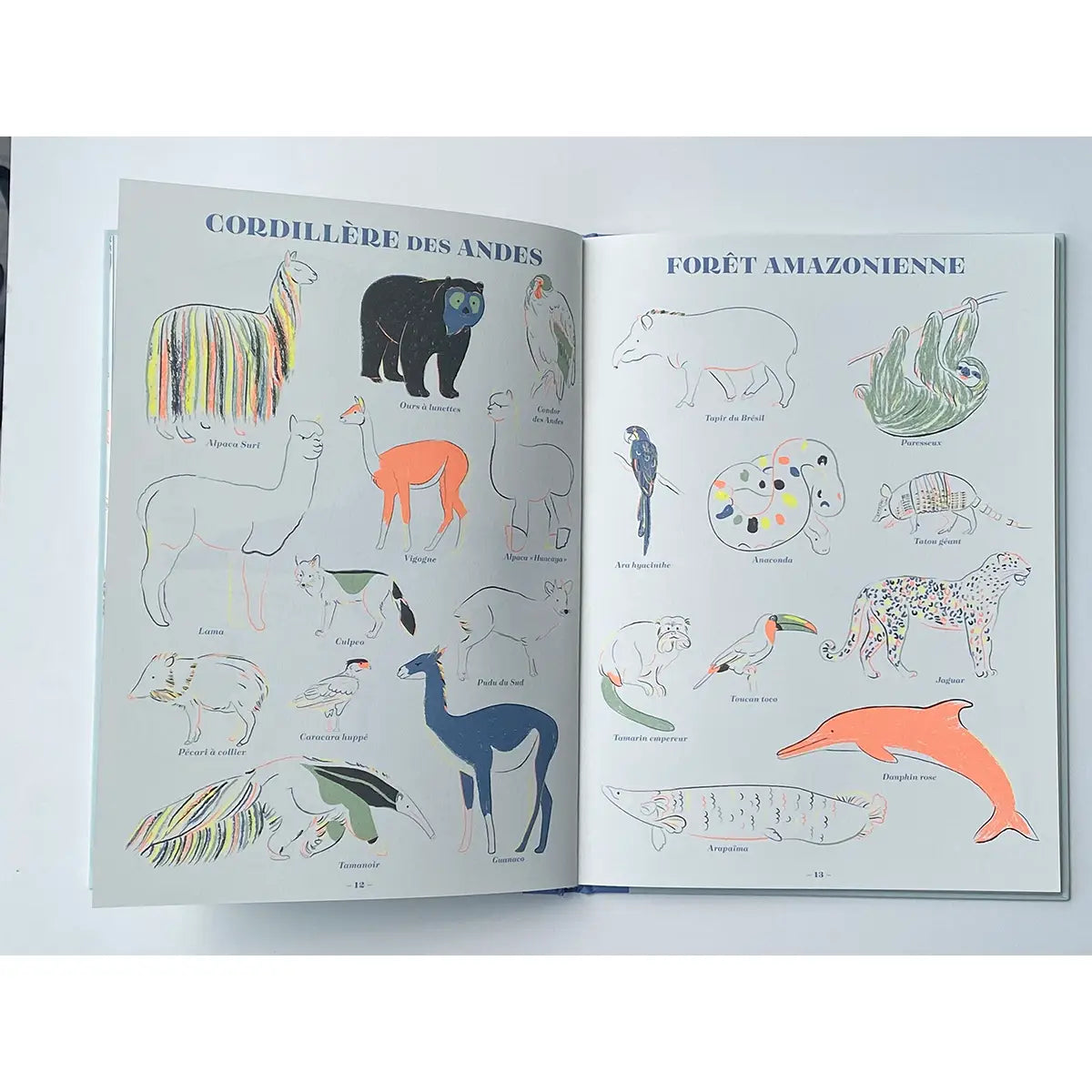 Wildlife from around the world - Book 3 years old