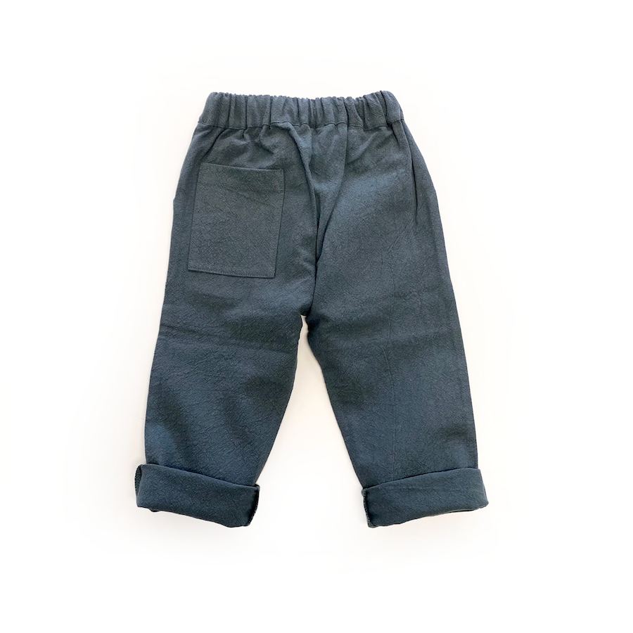 Pants - Raja