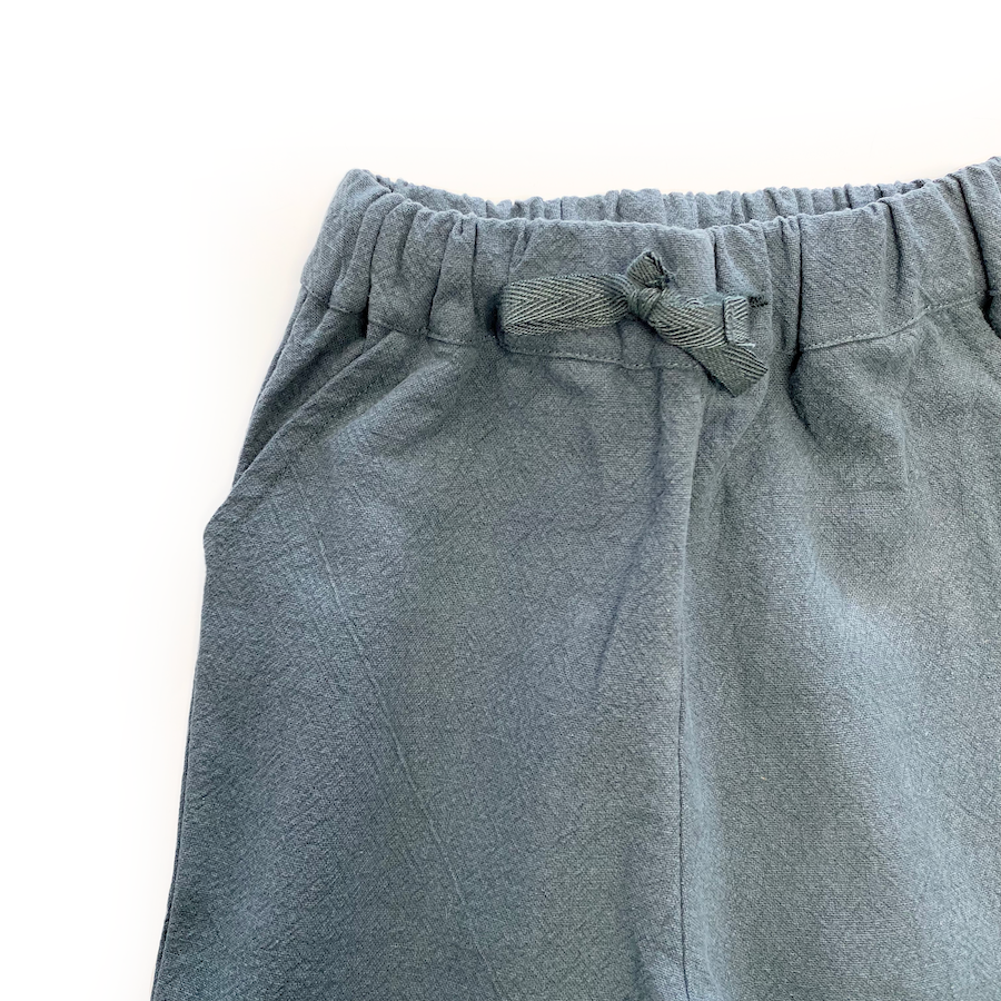 Pants - Raja